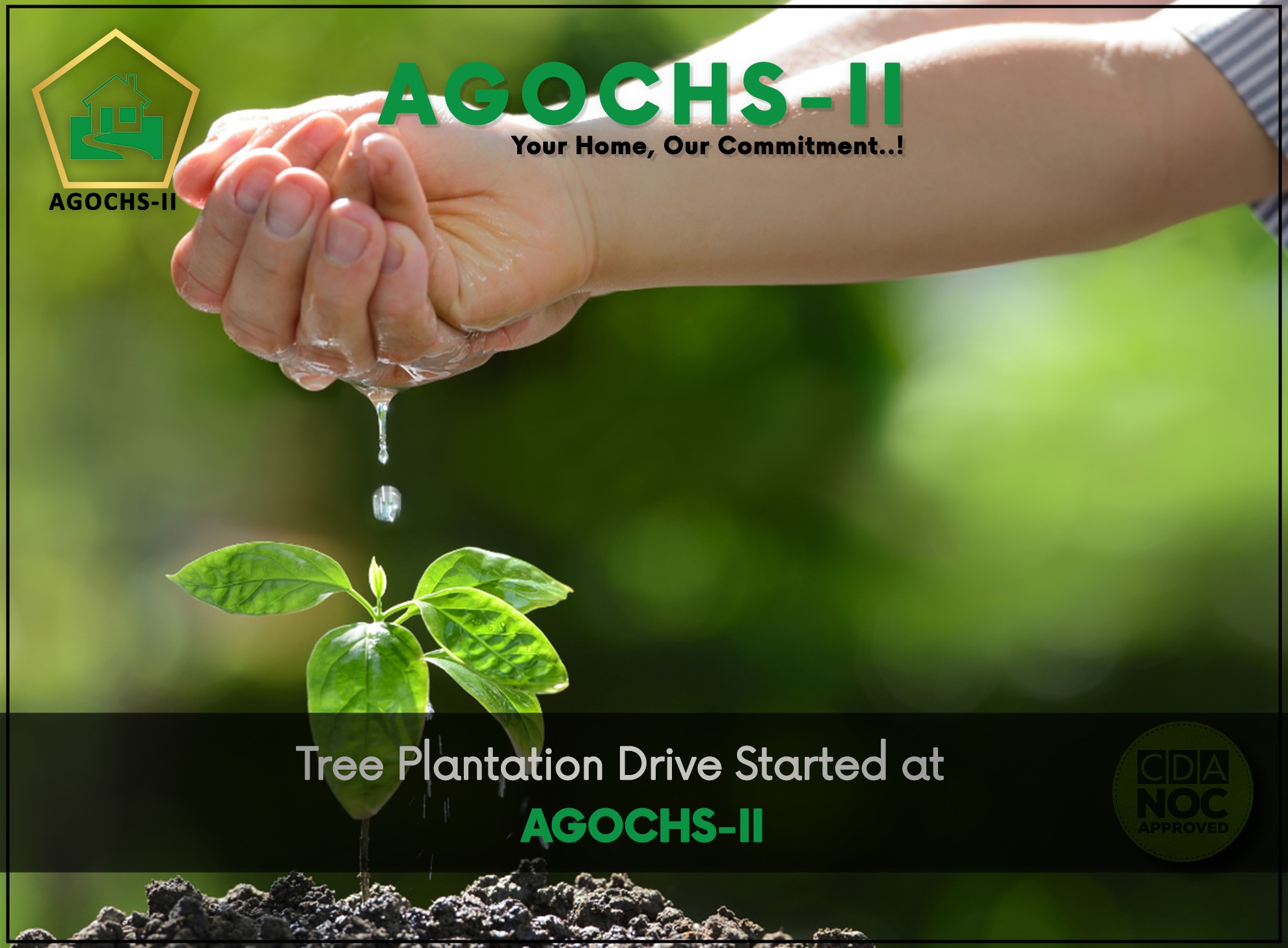 https://www.agochs-ii.com/blog/Tree Plantation